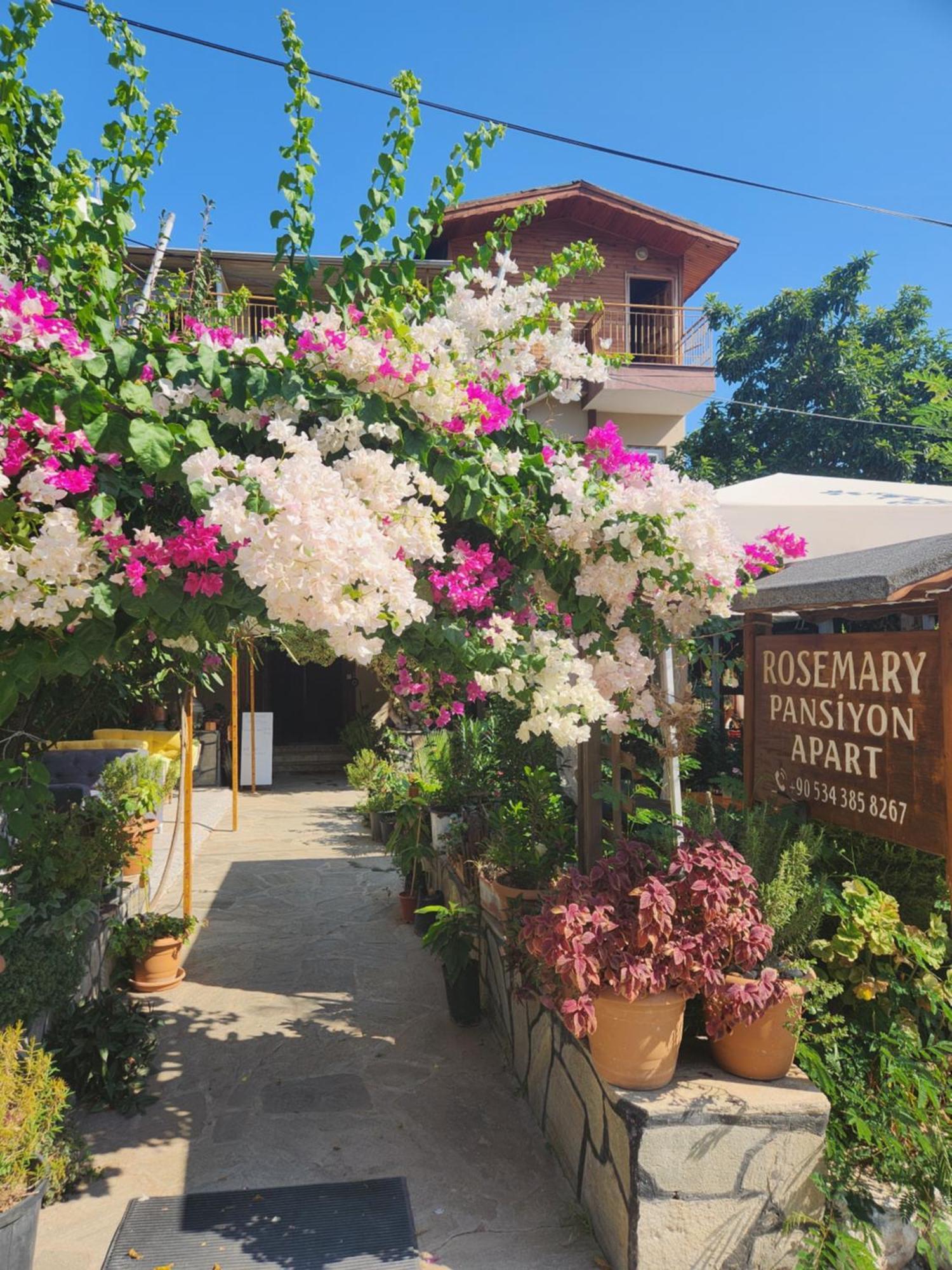 Rosemary Pansiyon Cirali Exterior photo